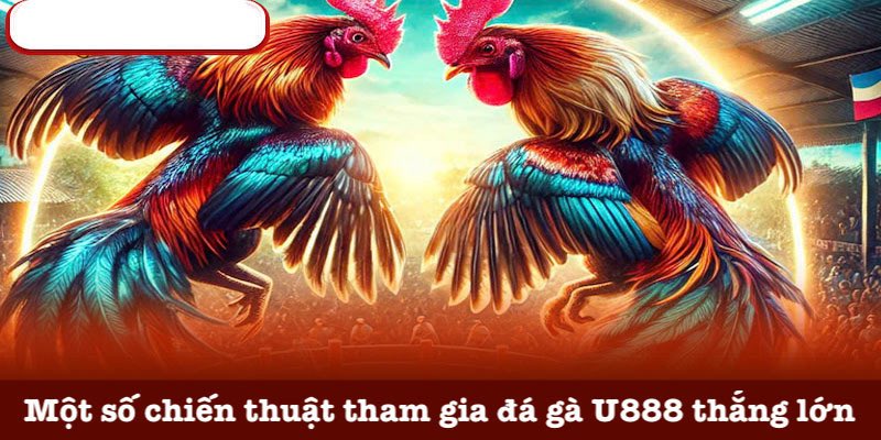 Những chiến thuật chơi đá gà U888 hiệu quả