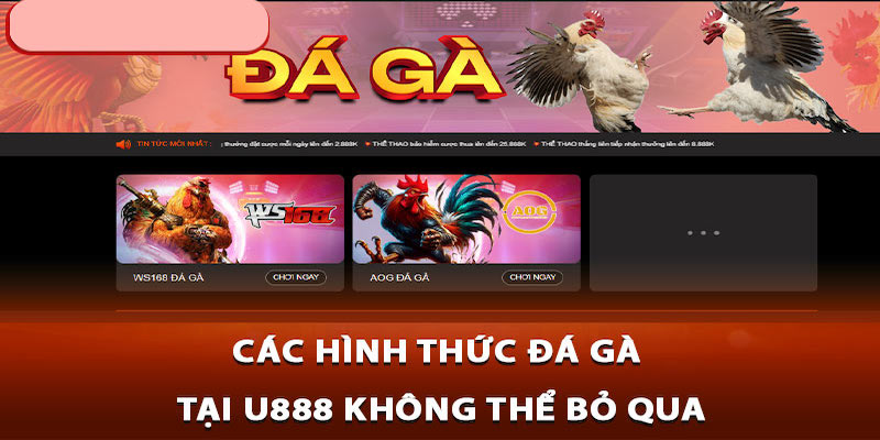 Những hình thức đá gà hấp dẫn tại U888